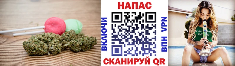 Cannafood марихуана  магазин продажи наркотиков  Заводоуковск 