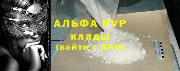 прущий лед Бородино