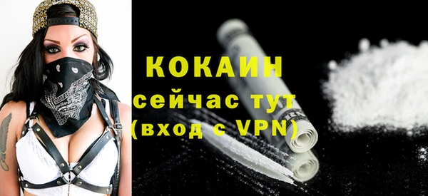 прущий лед Бородино