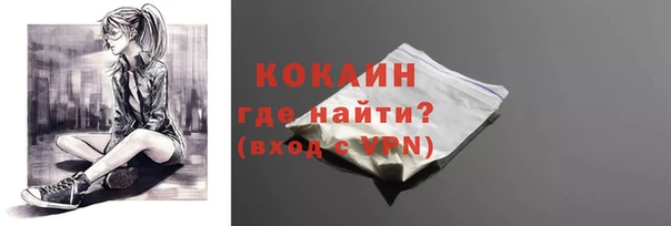 сатива Волоколамск