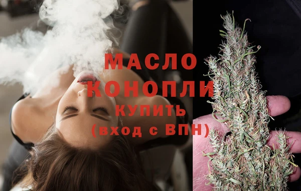 сатива Волоколамск