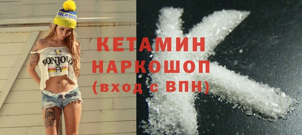 прущий лед Бородино