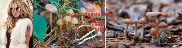 гашишное масло Володарск