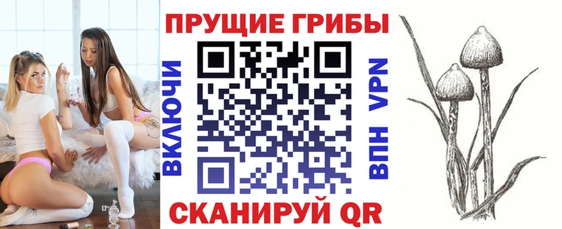 Псилоцибиновые грибы Magic Shrooms  Заводоуковск 