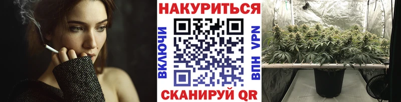 Бошки марихуана SATIVA & INDICA  Заводоуковск 